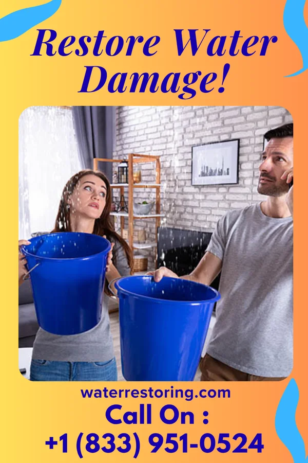 water restoration Premier Extraction Specialists Rose City