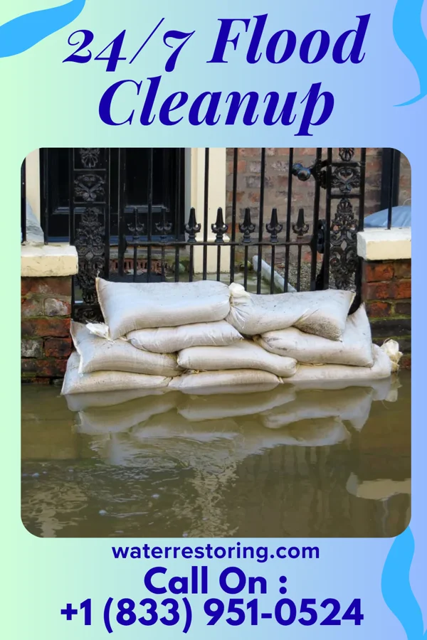 24/7 Flood Cleanup in Rose City, TX